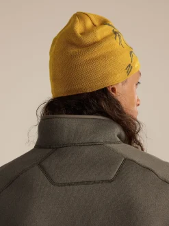 Arc'teryx Bird Head Toque Nucleus/Mongoose