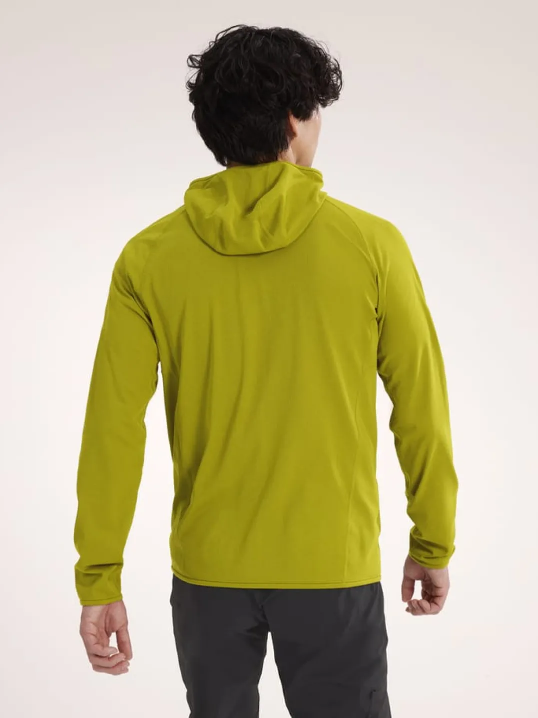 Arc'teryx Delta Hoody M Olive Moss / Euphoria