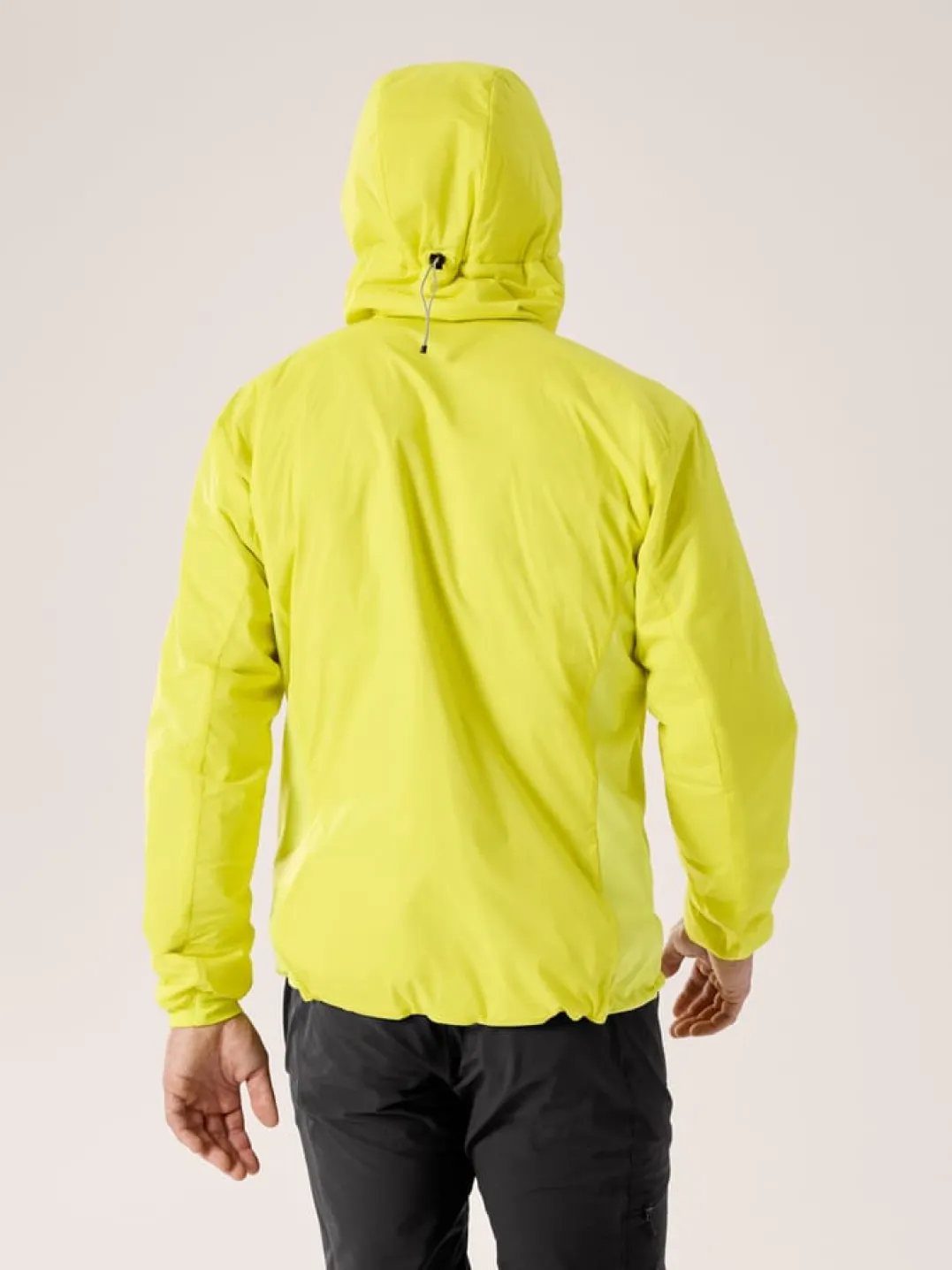 Arc'teryx Men's Atom Hoody Euphoria