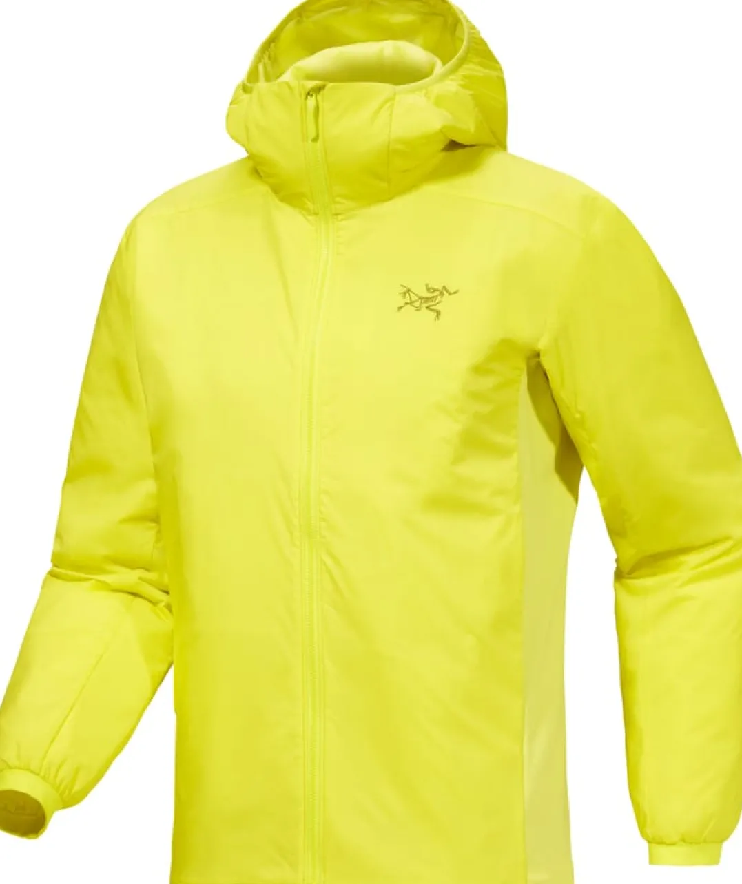 Arc'teryx Men's Atom Hoody Euphoria