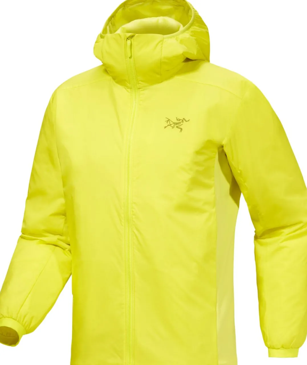 Arc'teryx Men's Atom Hoody Euphoria