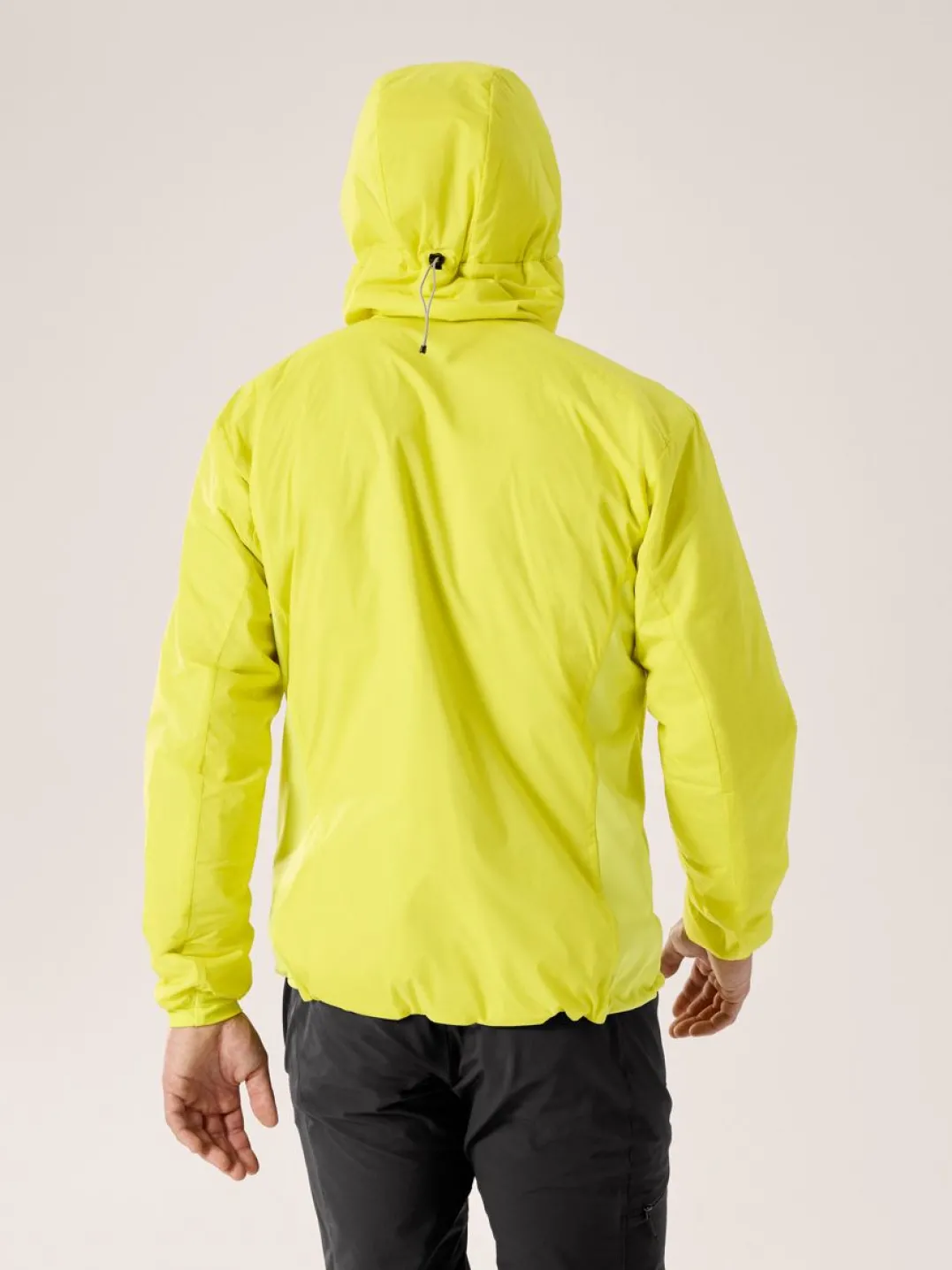 Arc'teryx Men's Atom Hoody Euphoria