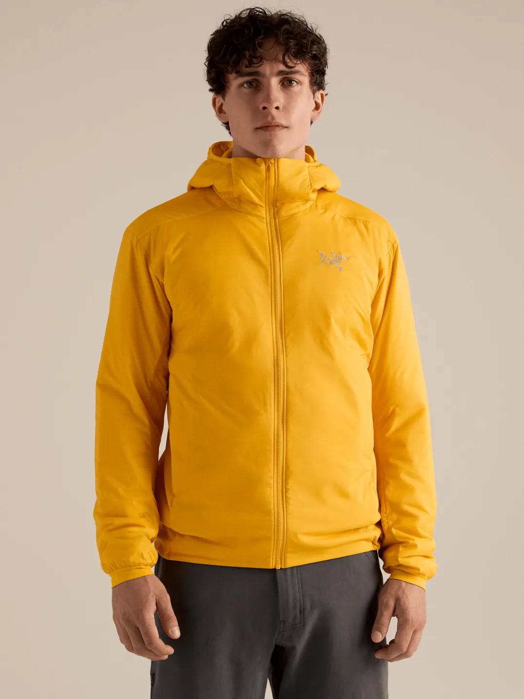 Arc'teryx Men's Atom Hoody Larch