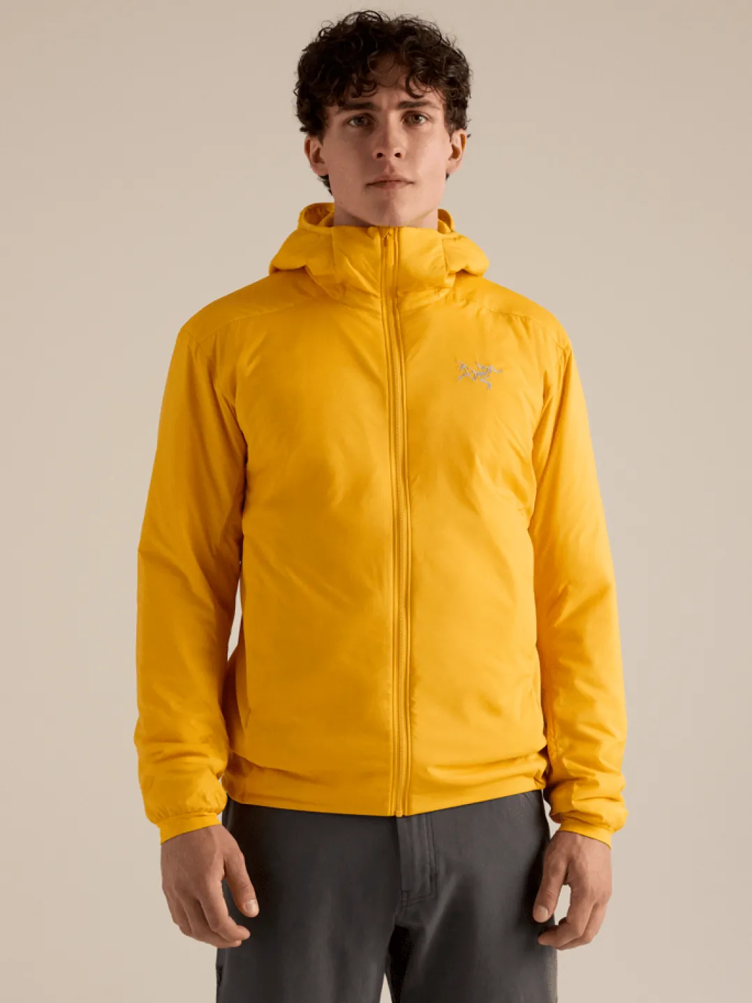 Arc'teryx Men's Atom Hoody Larch