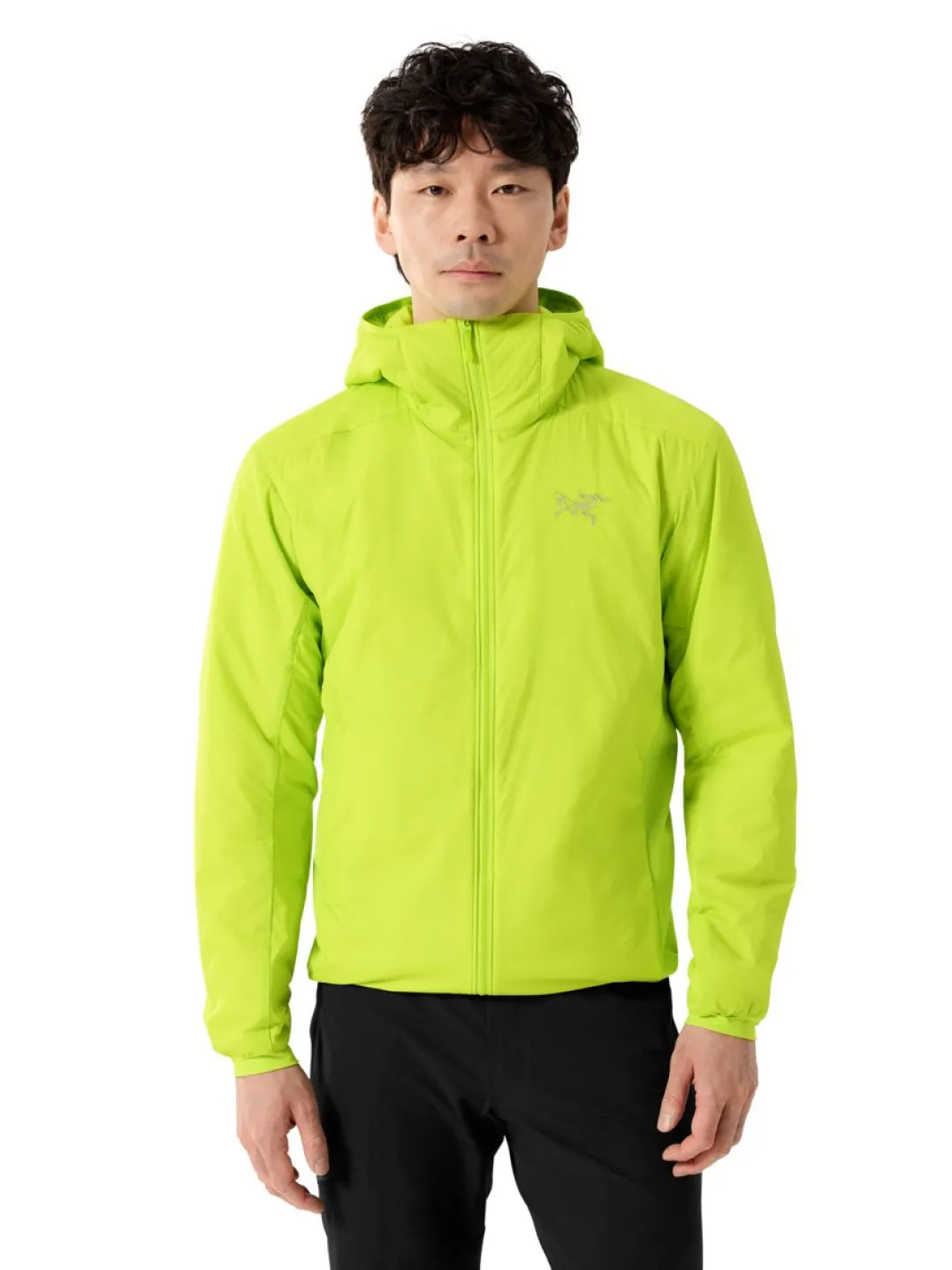 Arc'teryx Men's Atom Hoody Mantis