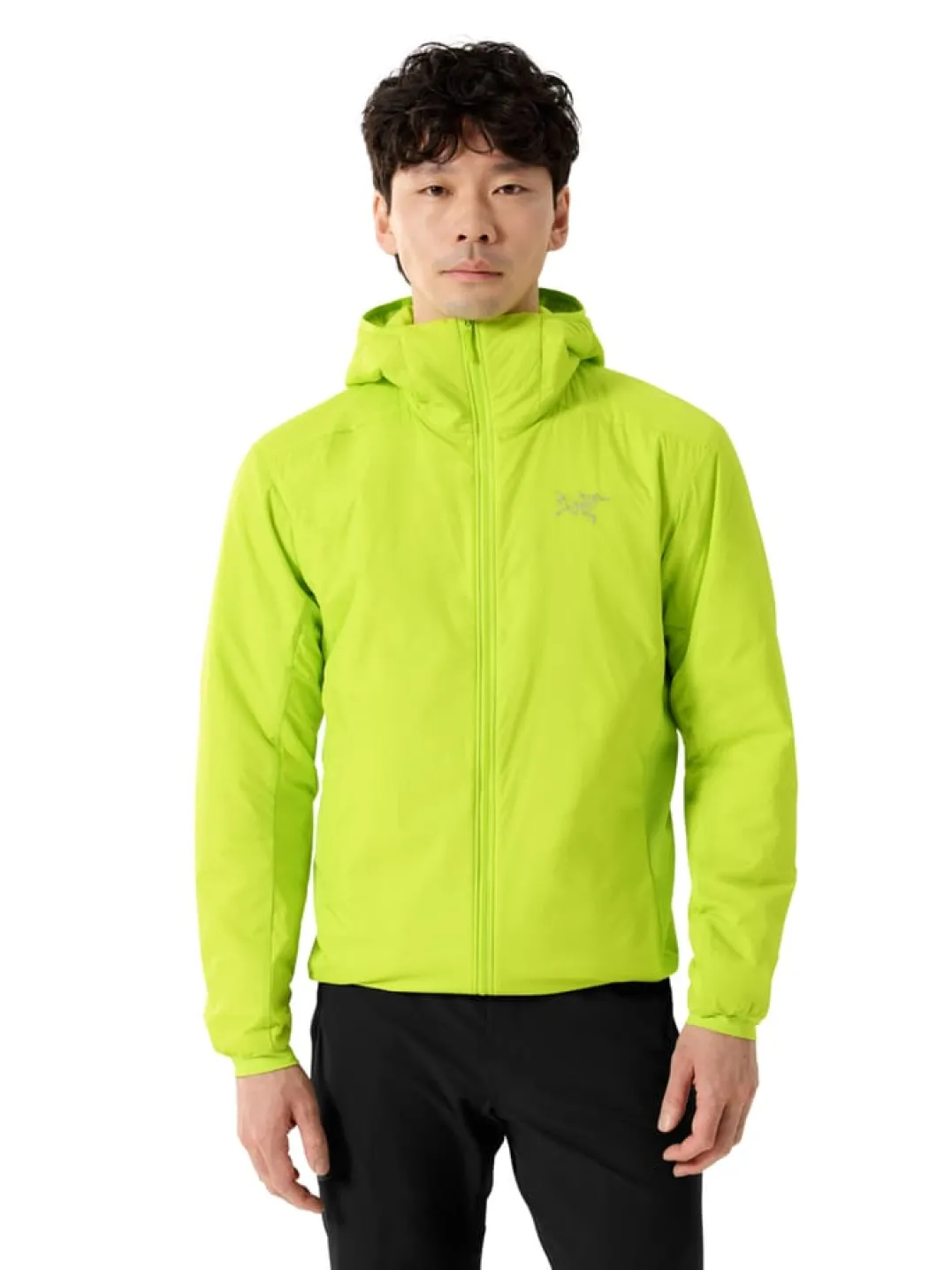 Arc'teryx Men's Atom Hoody Mantis