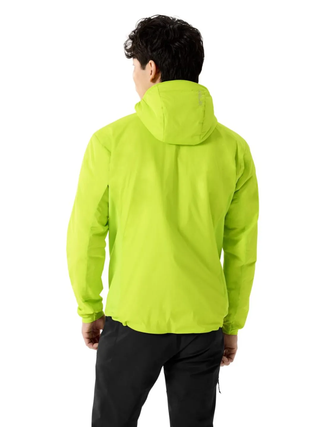 Arc'teryx Men's Atom Hoody Mantis