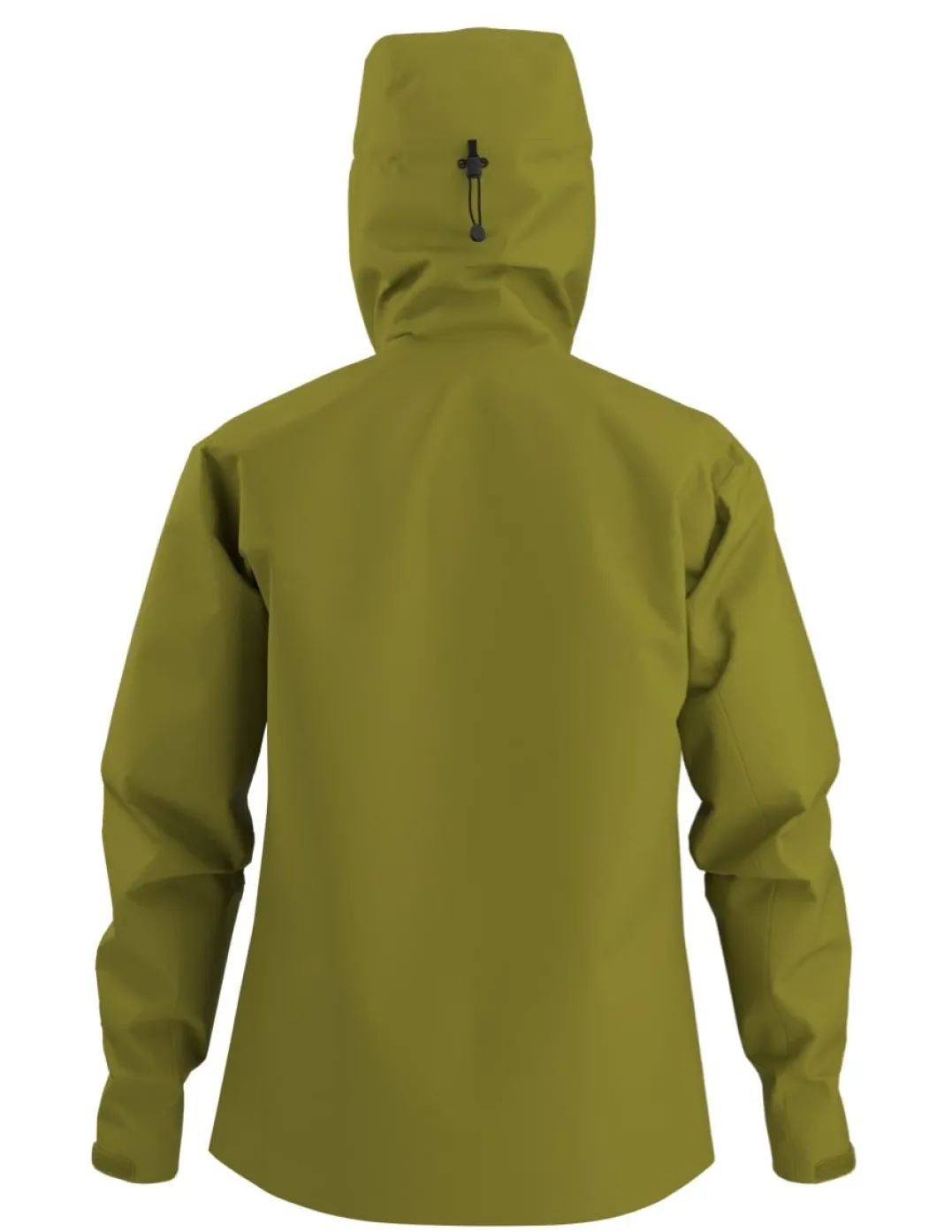 Arc'teryx Men's Beta SL Jacket Olive Moss / Euphoria
