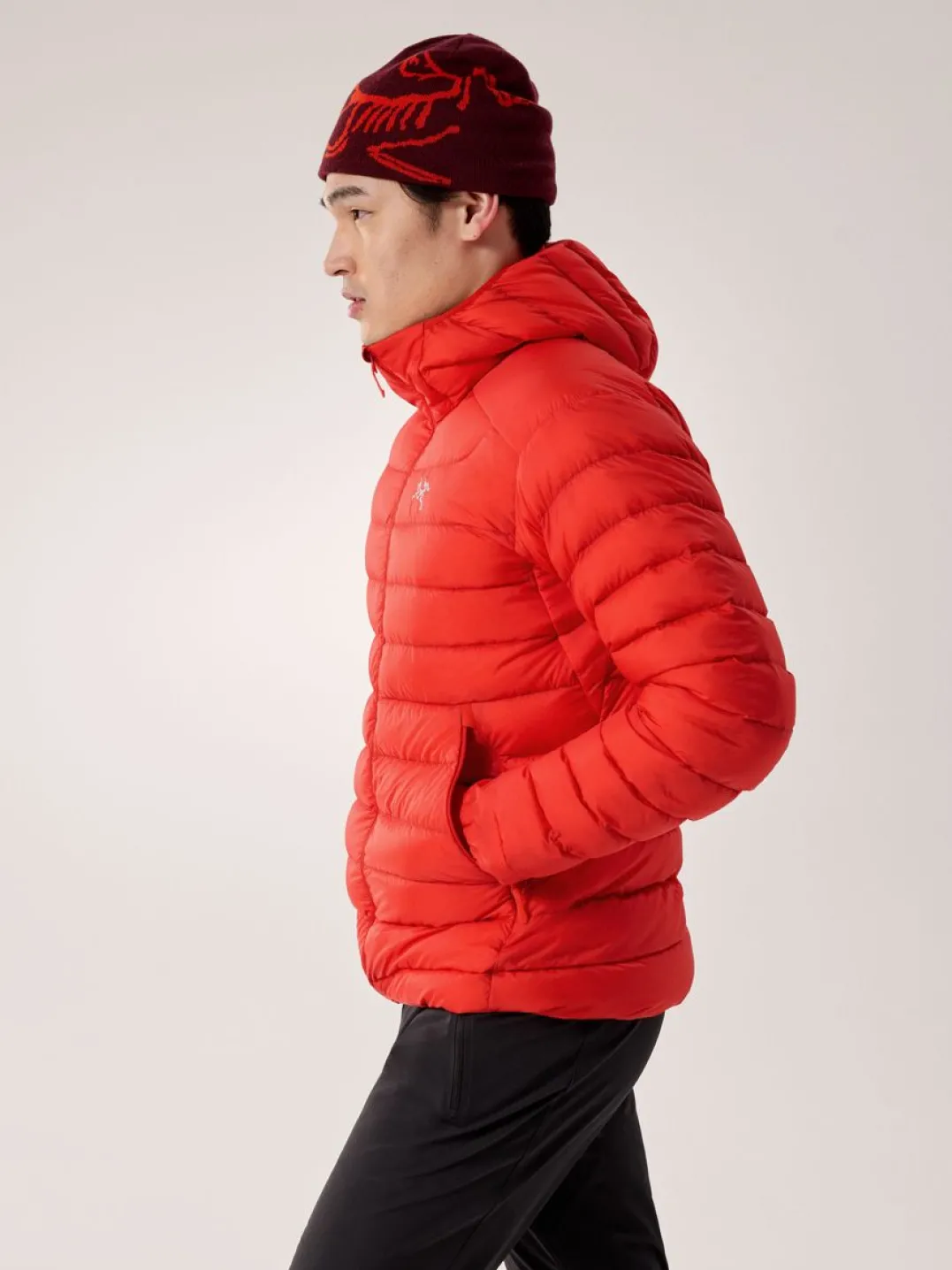 Arc'teryx Men's Cerium Hoody Dynasty