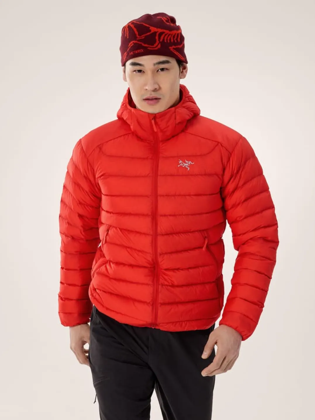 Arc'teryx Men's Cerium Hoody Dynasty