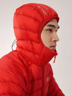 Arc'teryx Men's Cerium Hoody Dynasty