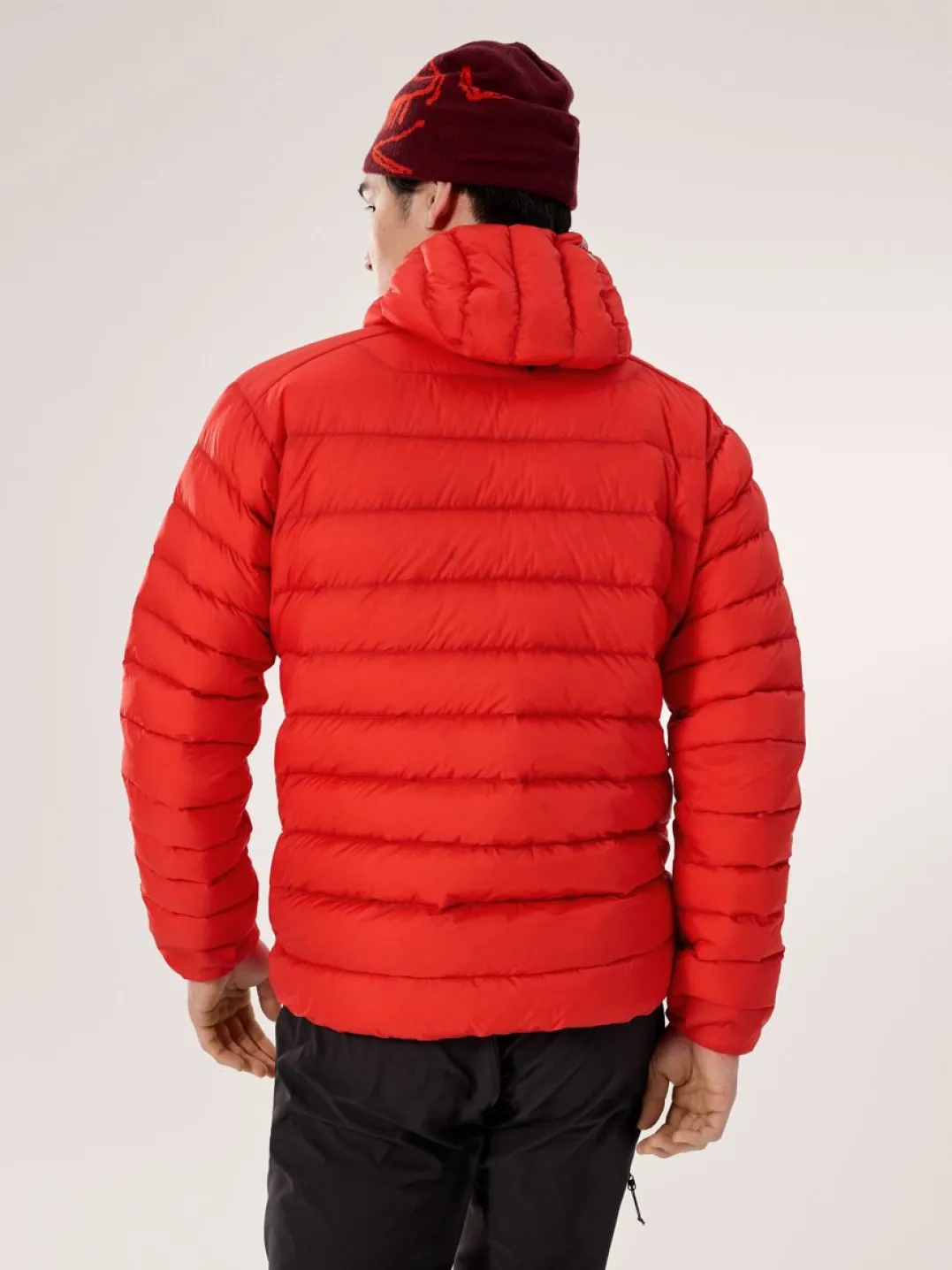 Arc'teryx Men's Cerium Hoody Dynasty