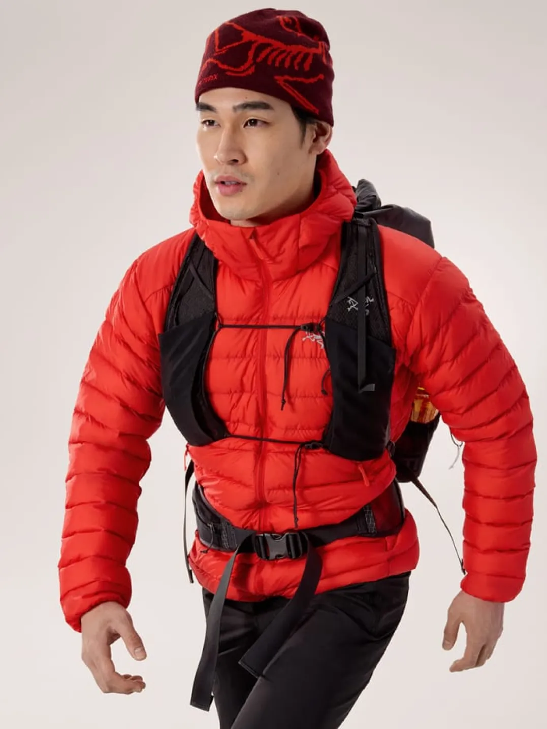 Arc'teryx Men's Cerium Hoody Dynasty