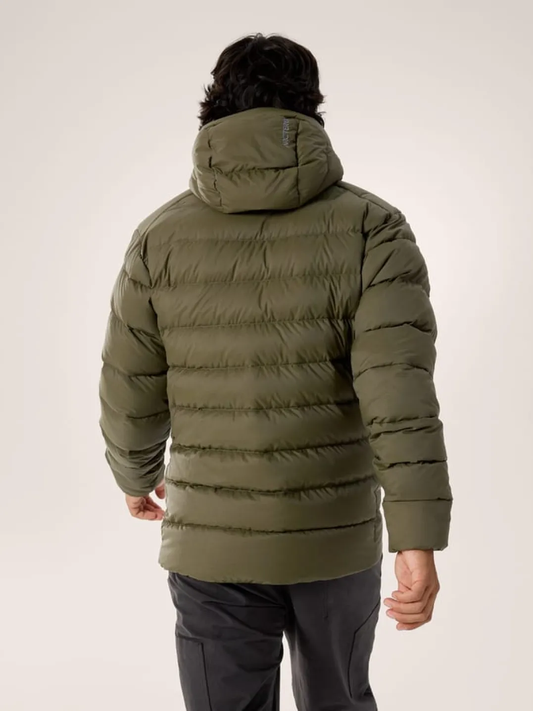 Arc'teryx Men's Thorium Hoody Tatsu