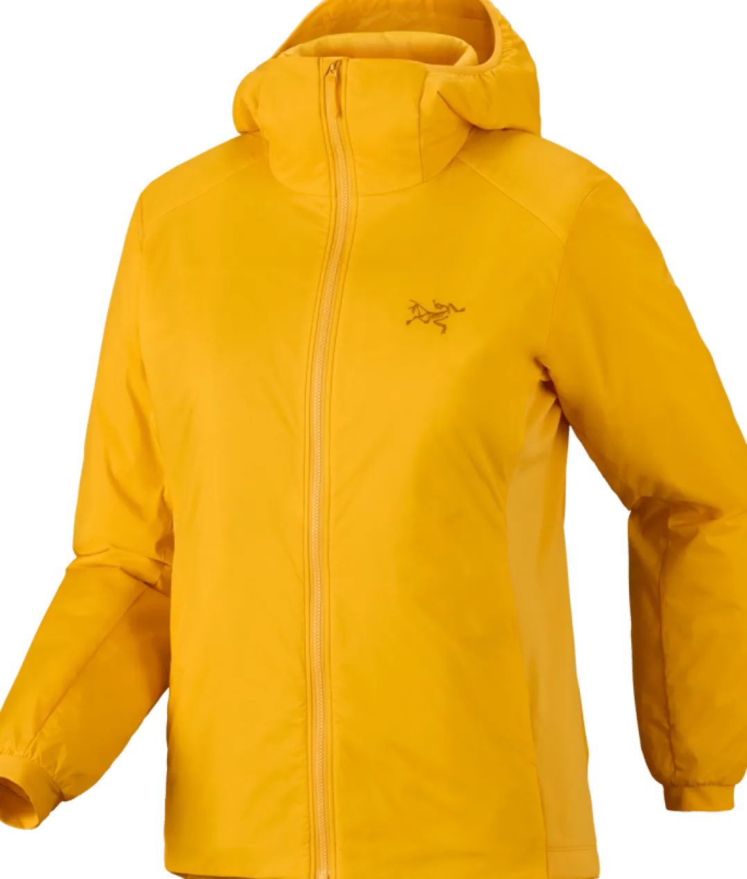 Arc'teryx Women's Atom Hoody Larch