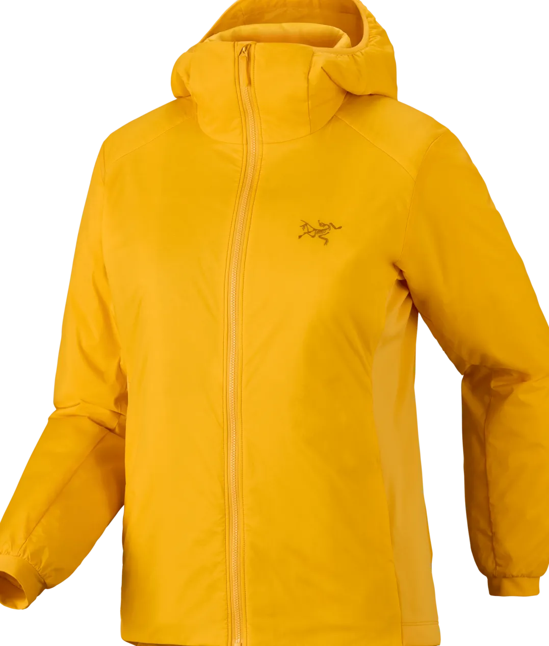 Arc'teryx Women's Atom Hoody Larch