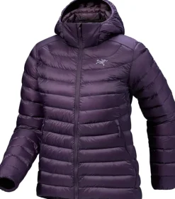 Arc'teryx Women's Cerium Hoody Moondrop