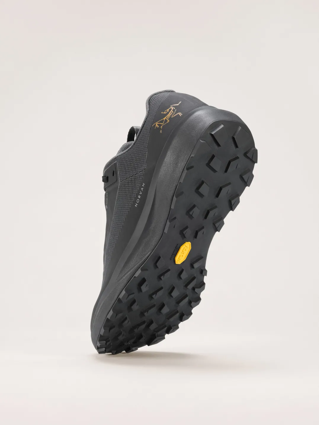 Arc'teryx Women's Norvan Ld 4 Gore-Tex Black/Black