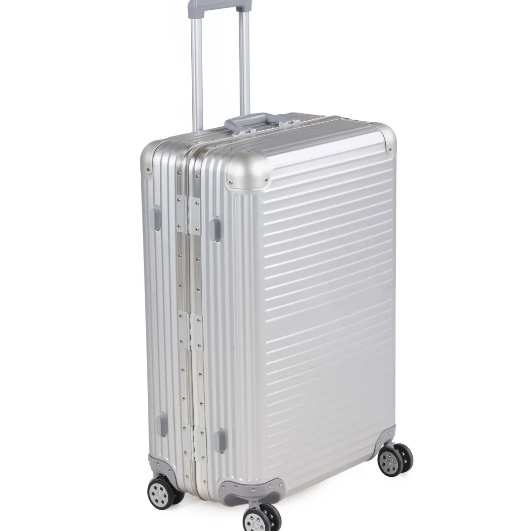 Arctic Tern Alu Trolley L Silver
