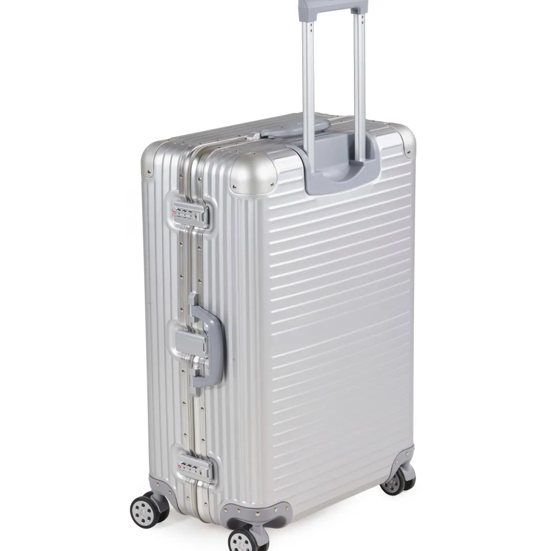 Arctic Tern Alu Trolley L Silver