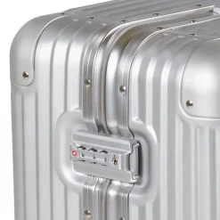 Arctic Tern Alu Trolley L Silver