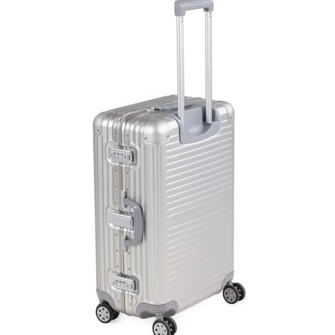 Arctic Tern Alu Trolley M Silver