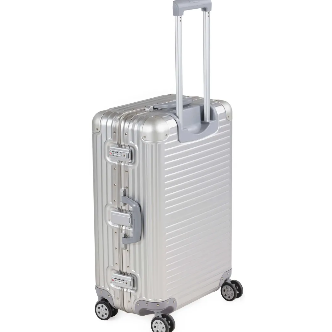 Arctic Tern Alu Trolley M Silver