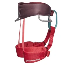 Black Diamond Kids' Momentum Harness Wild Rose