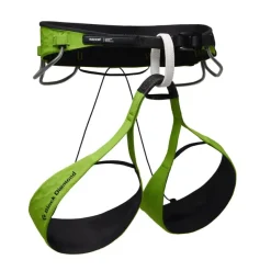 Black Diamond Recco Vision Airnet Harness Envy Green