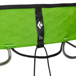 Black Diamond Recco Vision Airnet Harness Envy Green