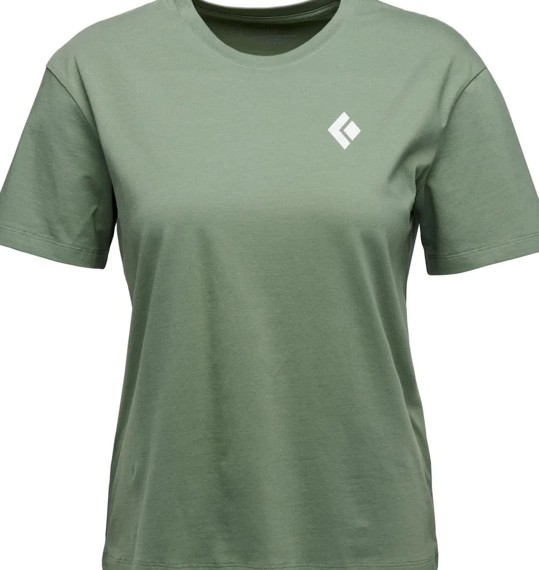 Black Diamond W Equipment For Alpinist SS Tee Laurel Green