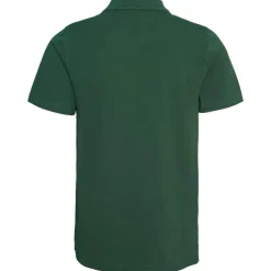 Bula Breeze Polo Shirt Pine