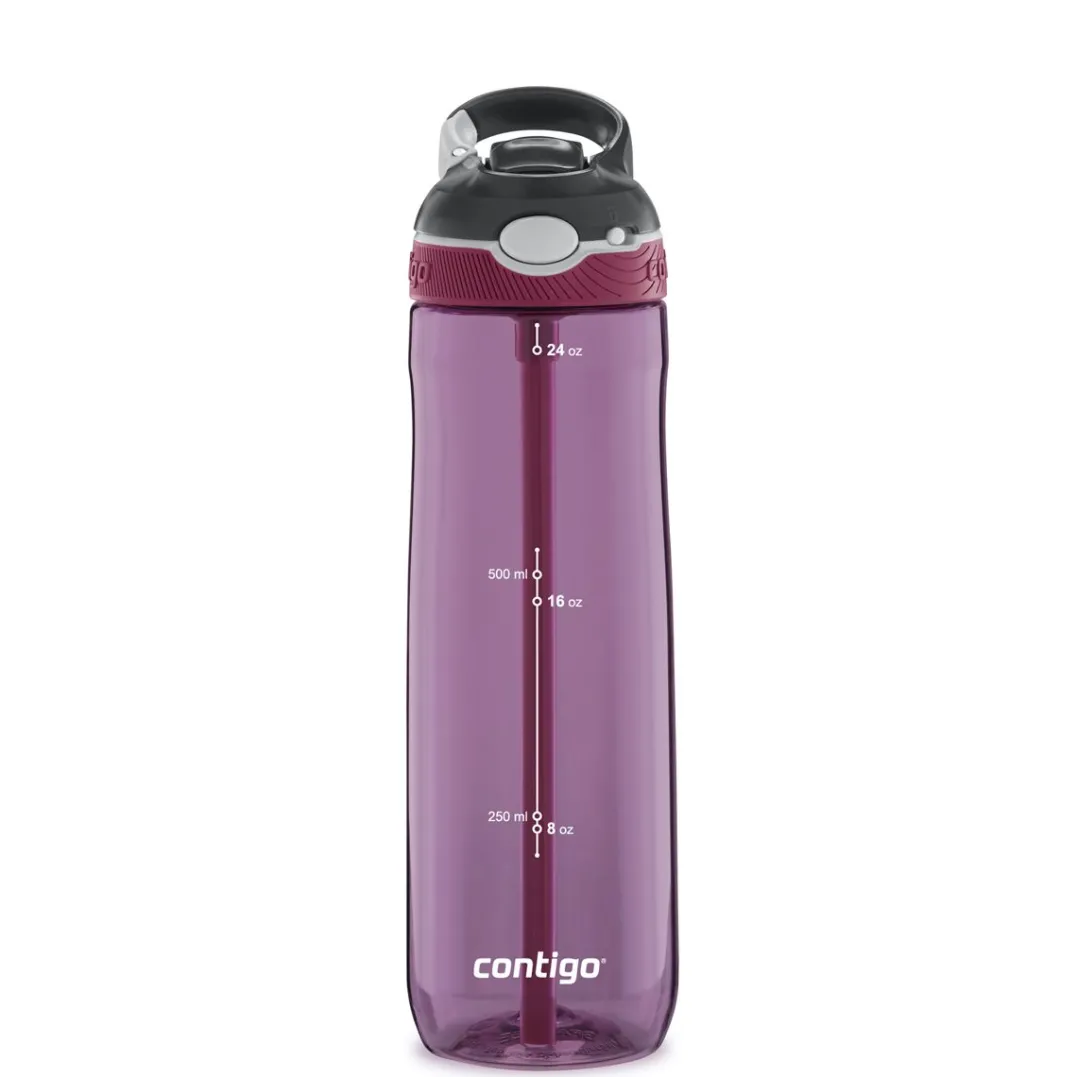Contigo Ashland Passionfruit