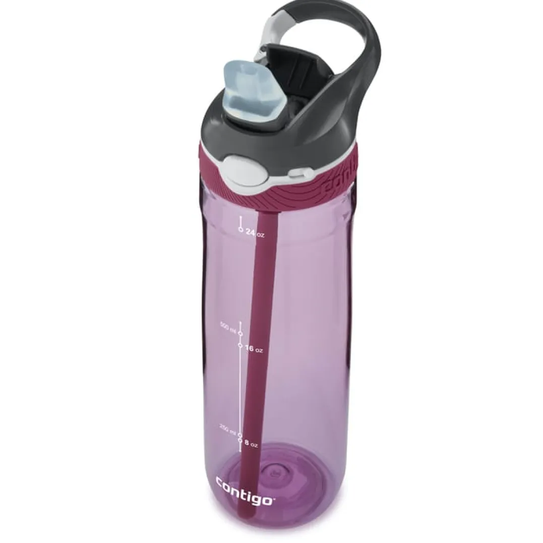 Contigo Ashland Passionfruit