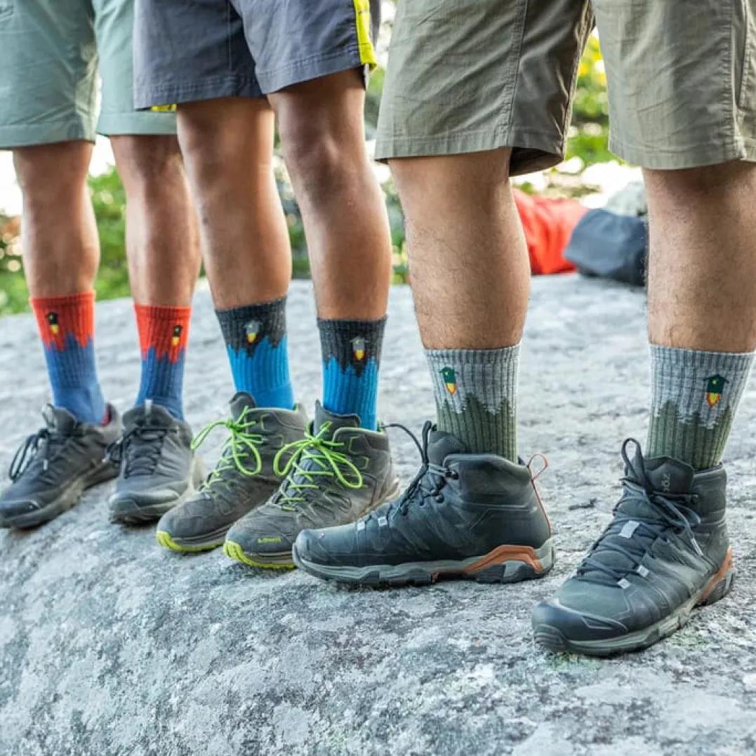 Darn Tough Men's Number 2 Micro Crew Midweight Hiking Sock Gray