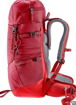 Deuter Fox 30 Masala/Cherry