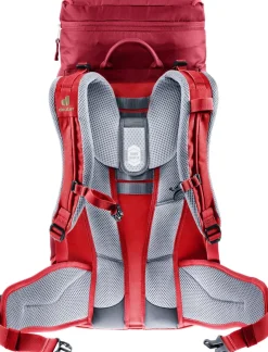 Deuter Fox 30 Masala/Cherry