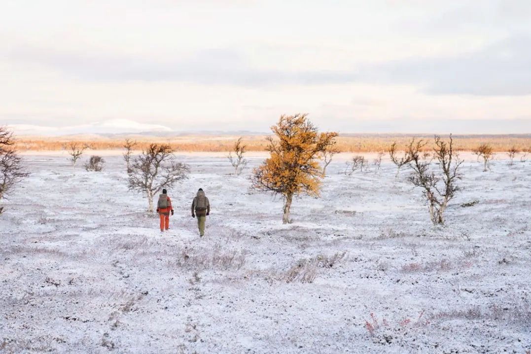 Fjällräven Singi Stubben Dark Olive