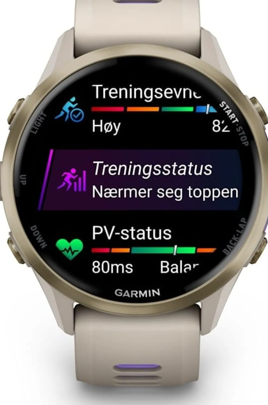 Garmin Forerunner 970 French Gray/indigo