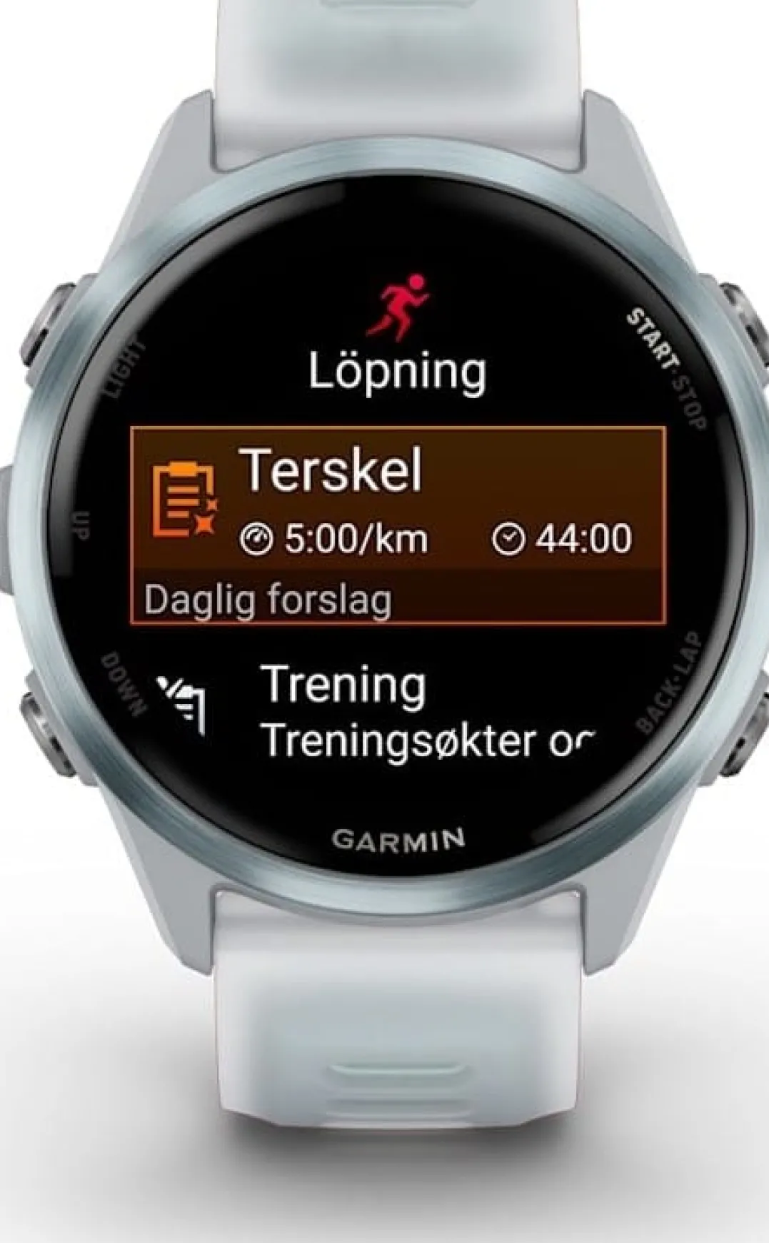 Garmin Forerunner 570 - 42mm Whitestone/cloud Blue