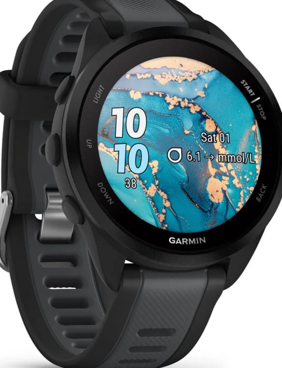Garmin Forerunner 165 Music Black/Slate Grey