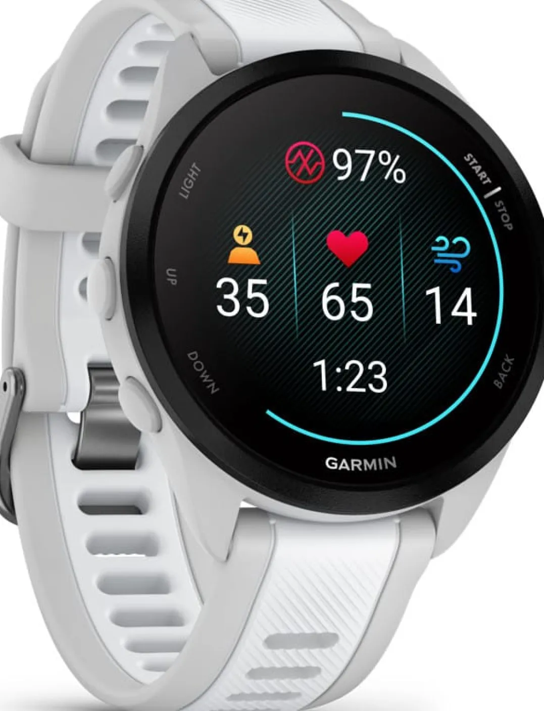 Garmin Forerunner 165 Music Mist Grey/Whitestone