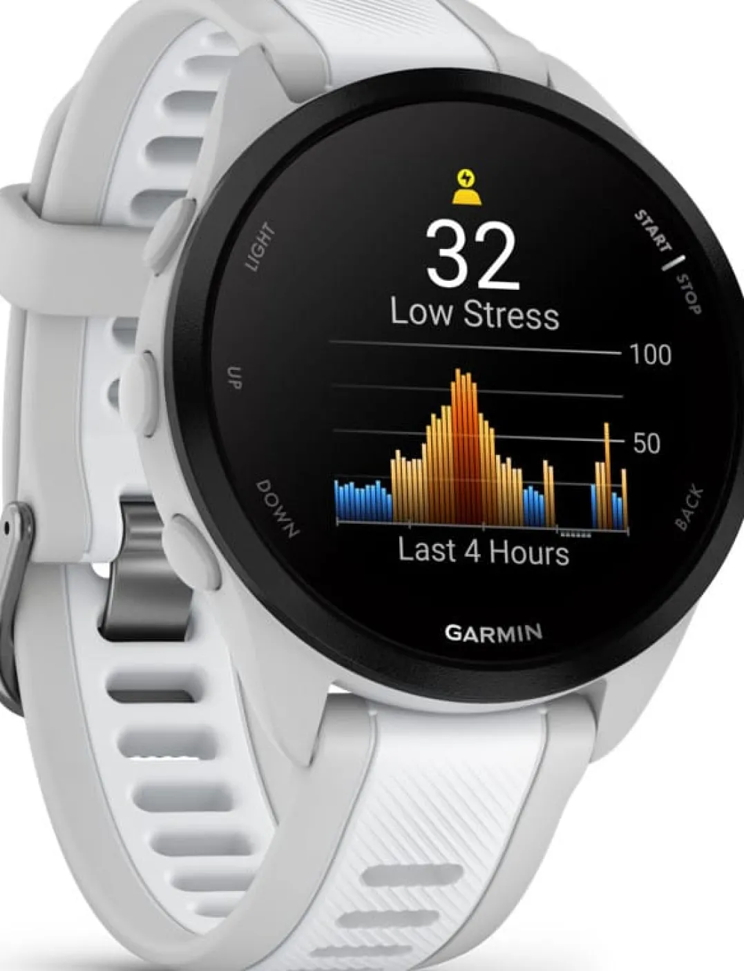 Garmin Forerunner 165 Music Mist Grey/Whitestone