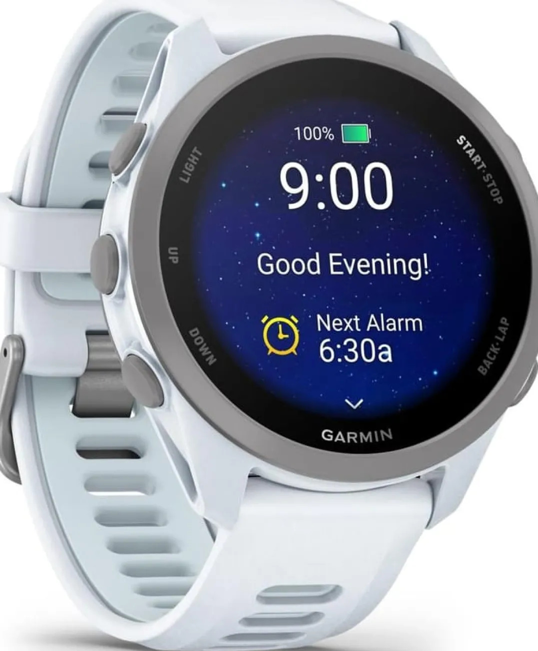 Garmin Forerunner 170 Whitestone/cloud Blue