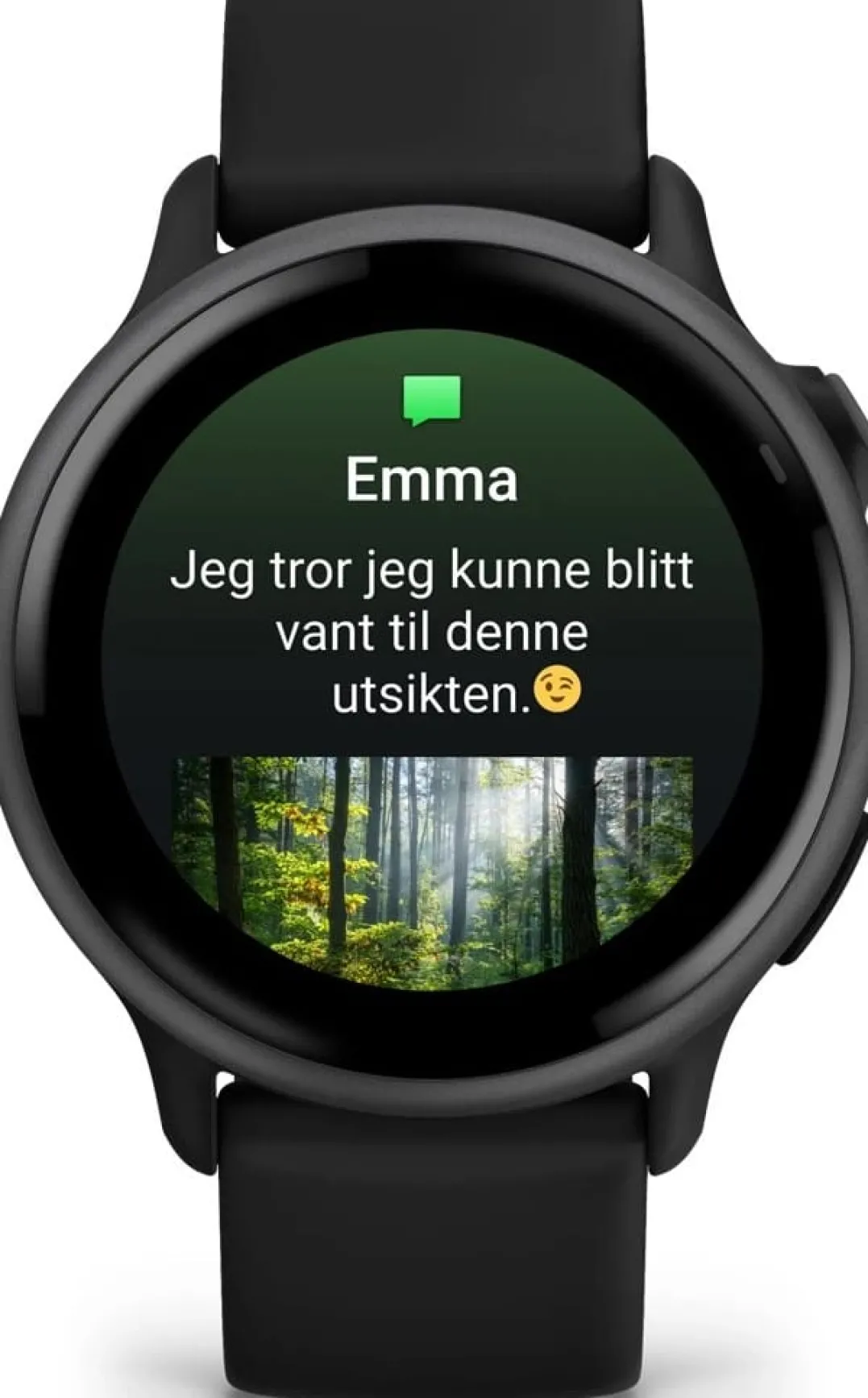 Garmin Vivoactive 6 Black/Slate