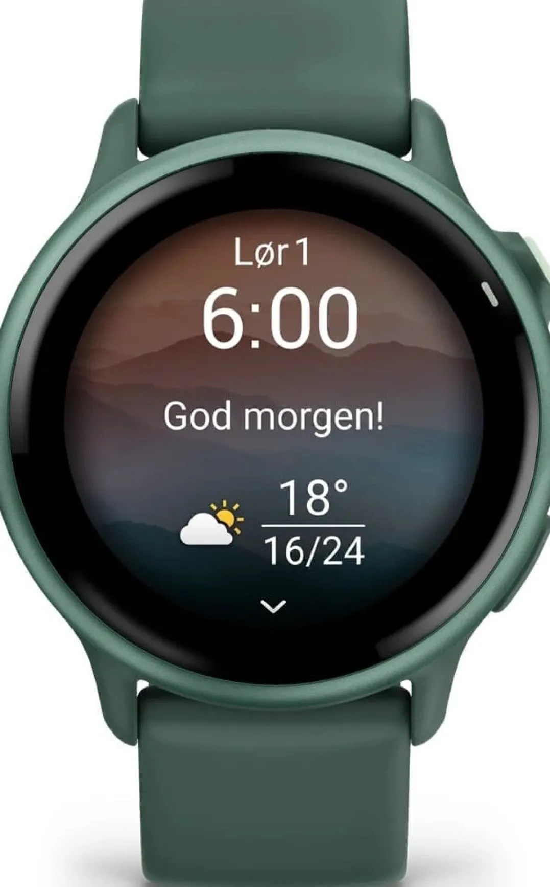 Garmin Vivoactive 6 Jasper Green/J. Green Metallic