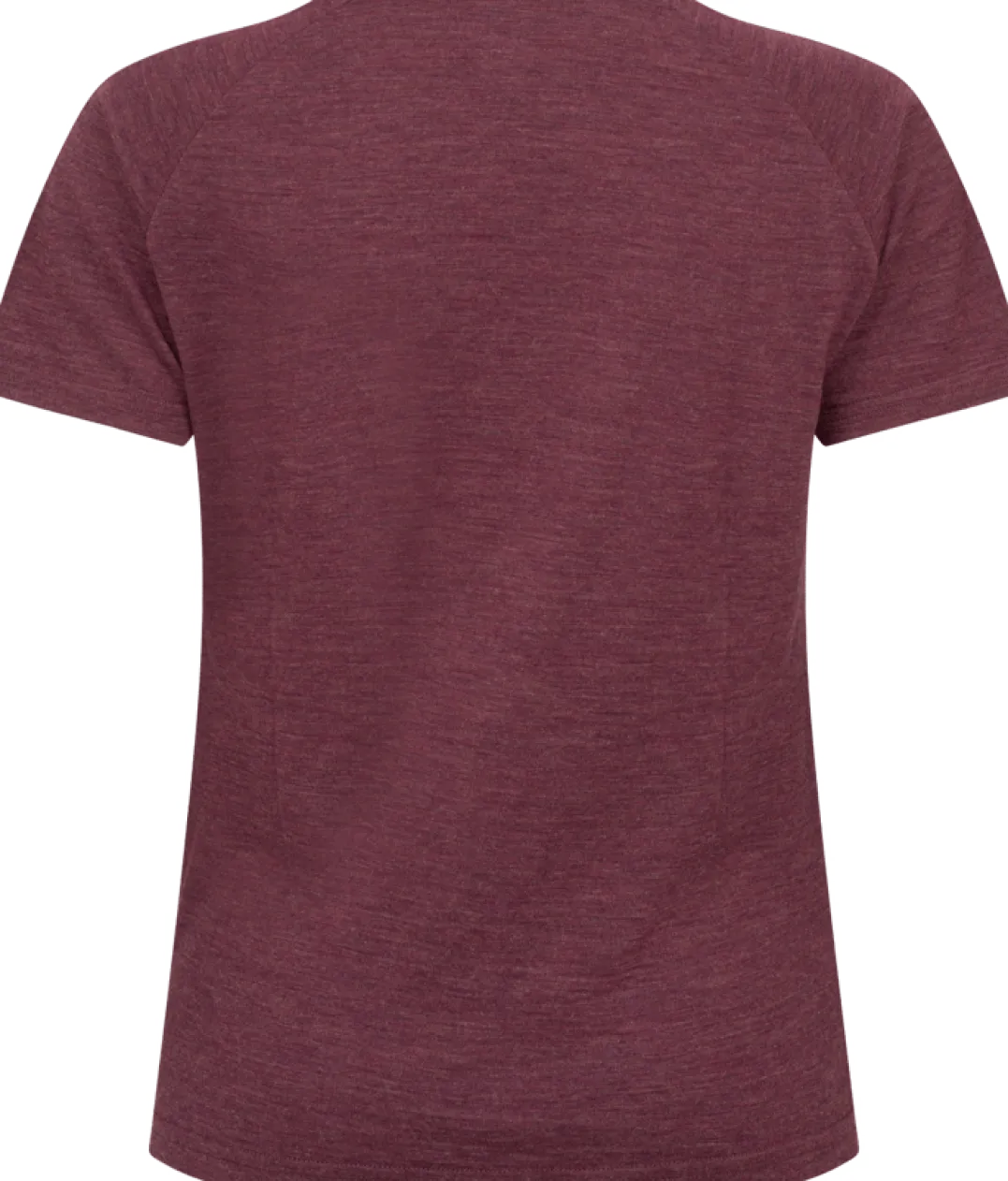 Gridarmor Merino Wool Tee Wmn Fig Melange