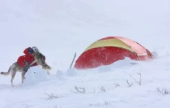 Helsport Svalbard 6 Camp Nocolour