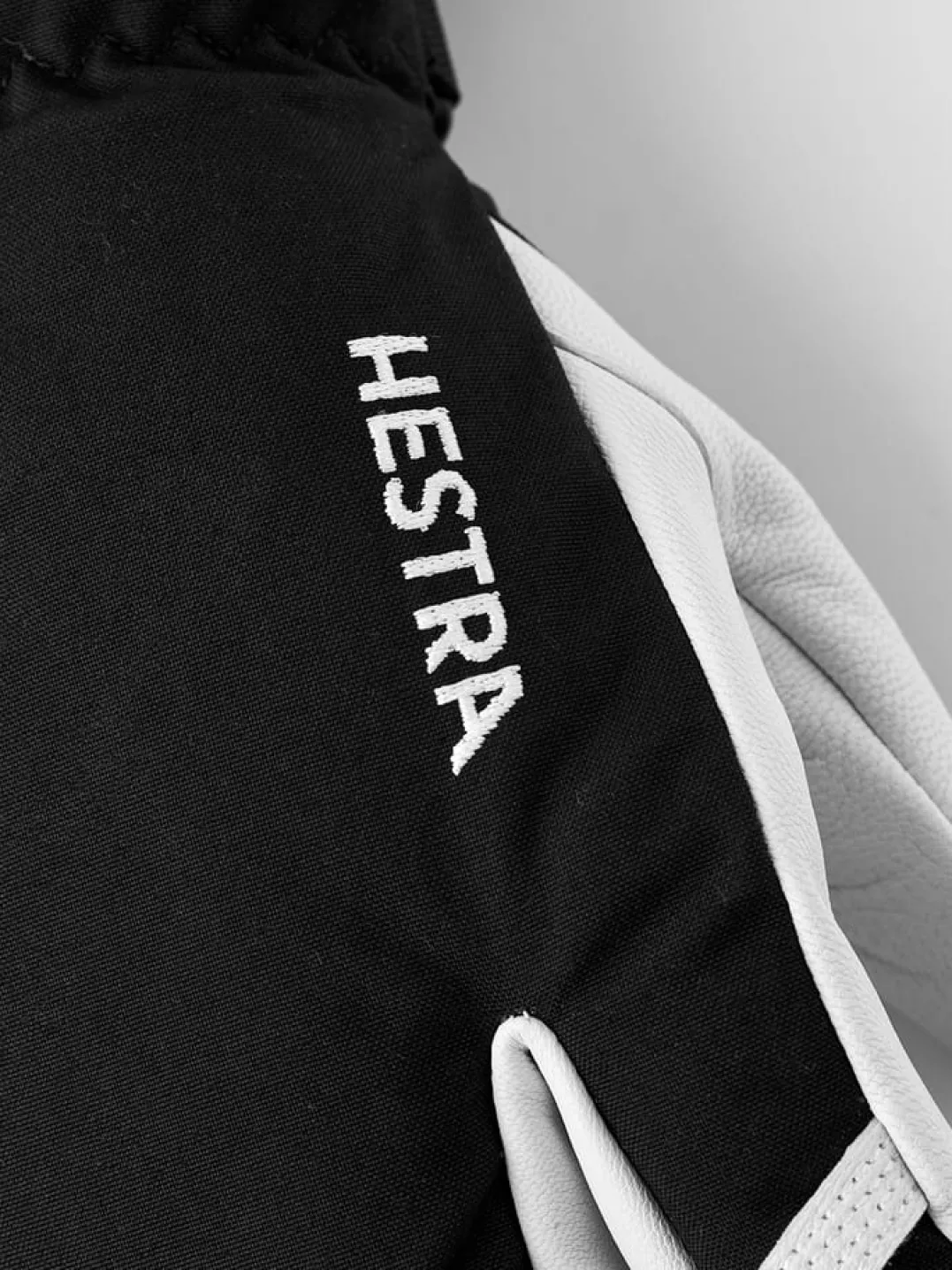 Hestra Army Leather Heli Ski 3-Finger Black