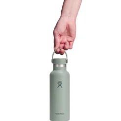 Hydro Flask 18 Oz Standard Flex Cap Agave
